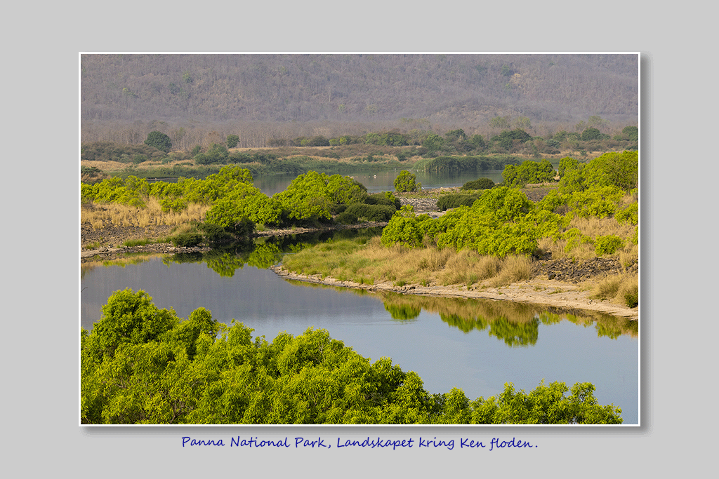 Panna National Park